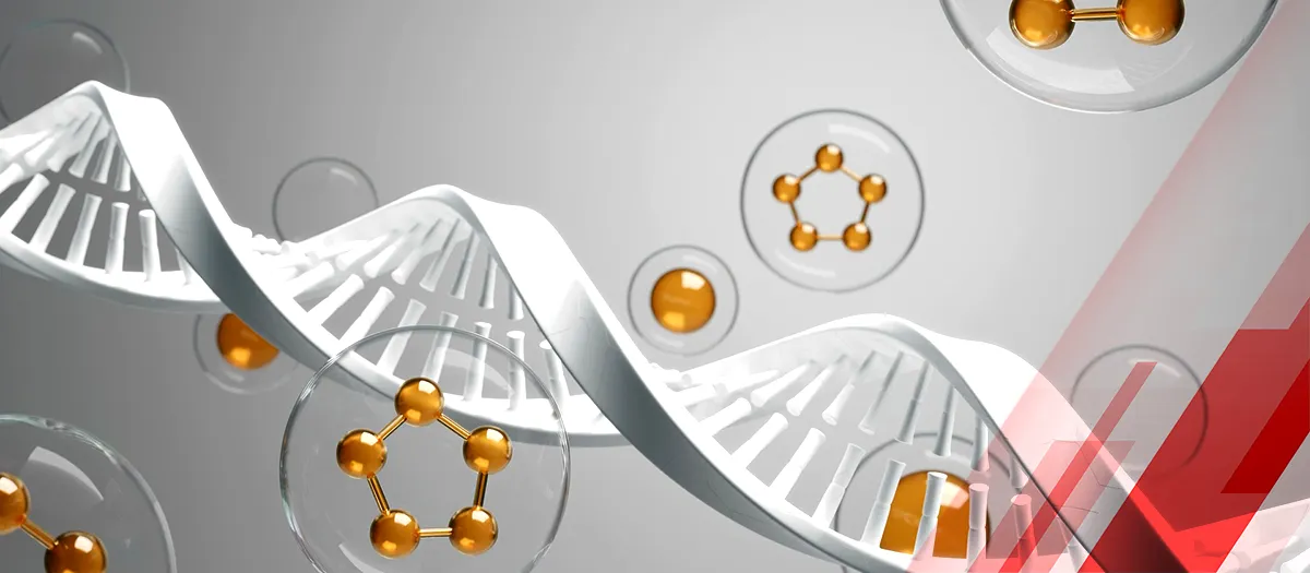 What are Amino Acids and Why is it Important?